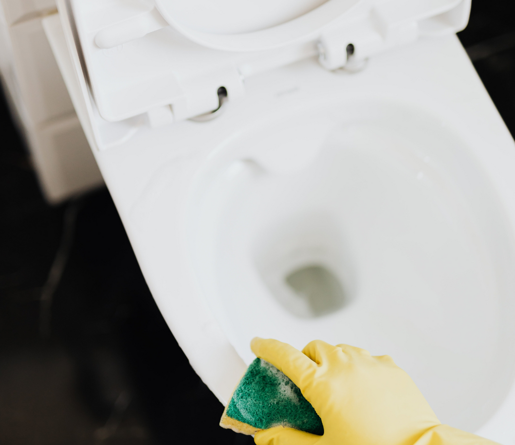 How To Clean and Sanitise Your Toilet Seat — The Bathroom Accessory Company