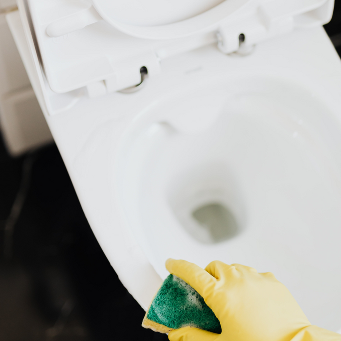 How To Clean and Sanitise Your Toilet Seat