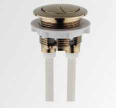 Tailored Bathrooms Brushed Brass Cistern Button 38mm - TIS6212